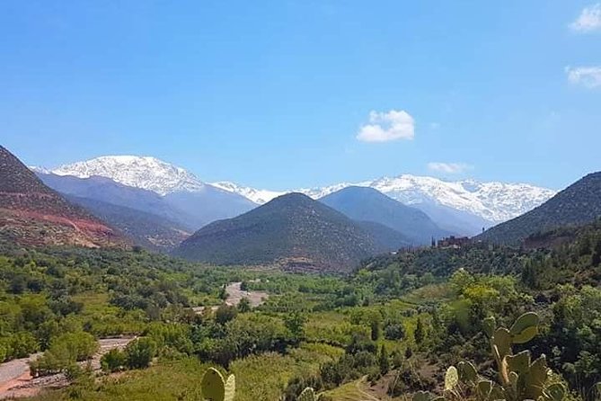 Atlas Mountain & Berber Villages and Waterfalls Day Trip from Marrakech - Leaving Marrakech at 9:00: the calm start you’ll appreciate