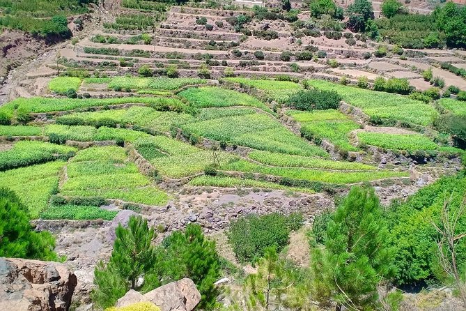 Atlas Mountain & Berber Villages and Waterfalls Day Trip from Marrakech - Dar Aymane lunch: tajine, views, and vegetarian/vegan options