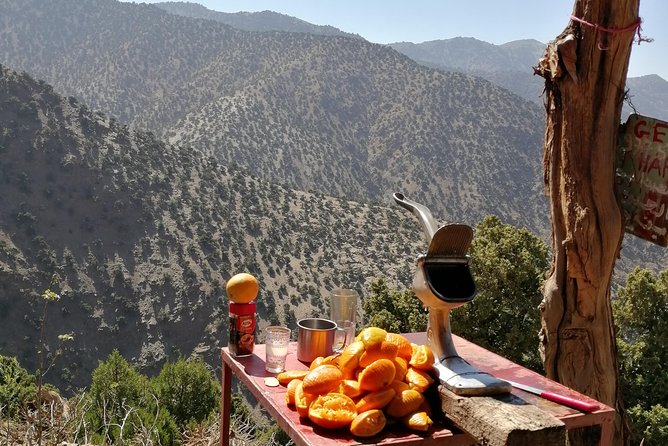 Atlas Mountain & Berber Villages and Waterfalls Day Trip from Marrakech - Price and value: why $34.89 can actually work out