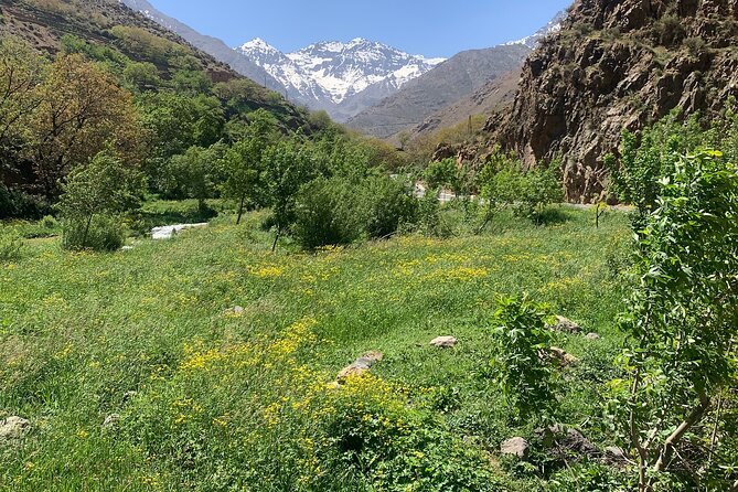 Atlas Mountain Day Trip From Marrakech - Asni valley and the oldest Berber village photo stop