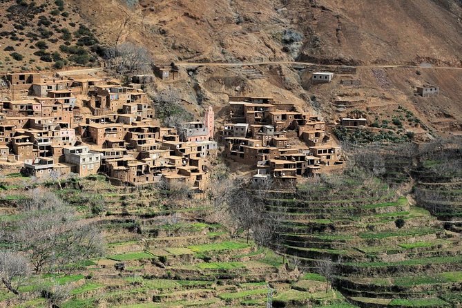 Atlas Mountain Easy Guided Walking Tour from Marrakech - Pickup, group size, and why the guide matters here
