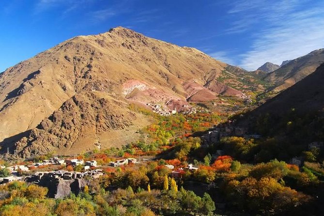 Atlas Mountain Easy Guided Walking Tour from Marrakech - Village walking in Berber territory: culture you can actually see