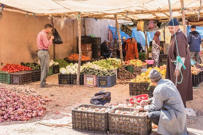 Atlas Mountain From Marrakech - Price, timing, and what to pack for an 8-hour day