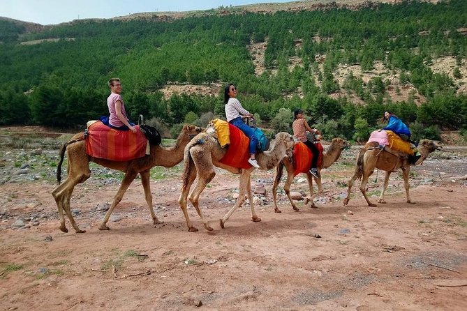 Atlas Mountain From Marrakech - Imlil Valley mornings: camel ride and Berber village life