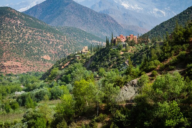 Atlas Mountain Full Day Tour with Three Valleys and Waterfalls - Tahanout Stop: Tea, Views, and the Real Work Behind Argan Oil
