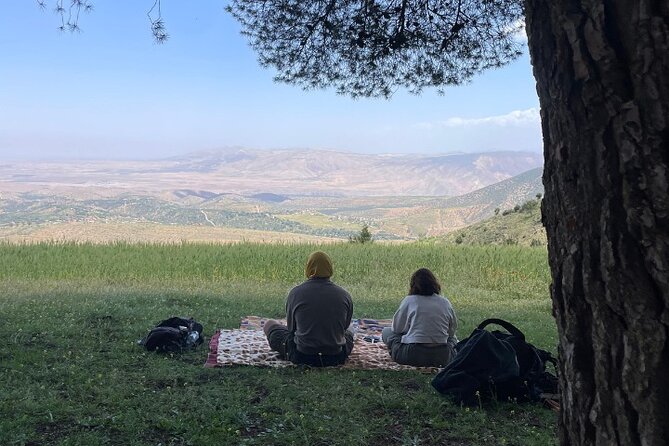 Atlas Mountain Hike & Berber Cooking with a Local Family - Price and value: is $88.10 per person a fair deal?