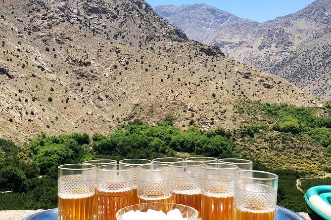 Atlas Mountain, home made lunch & camel ride in Agafay Desert - Atlas Mountains segment: argan cooperative, Berber villages, and Imlil waterfalls
