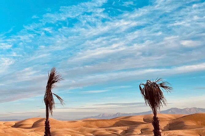 Atlas Mountain Imlil Waterfall & Berber Villages Camel Ride Trip - Music, Fire Show, and the “Evening Flow”