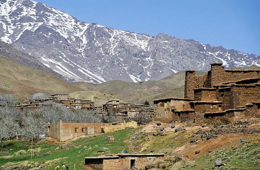 Atlas Mountain & Three Valleys Waterfalls & Desert Day Trip - Camel ride for a quick scenic break