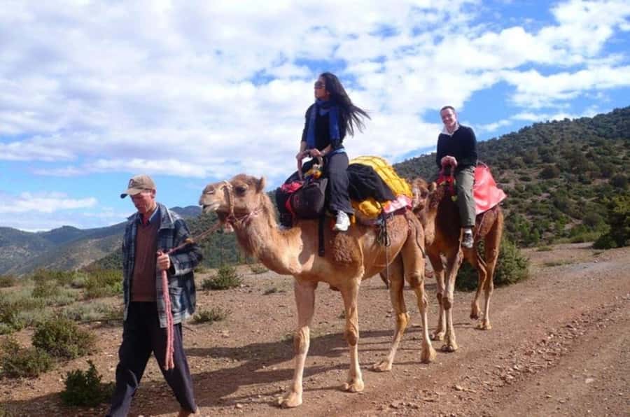 Atlas Mountain & Three Valleys Waterfalls & Desert Day Trip - Imlil village and the waterfall area: where the trek earns its keep