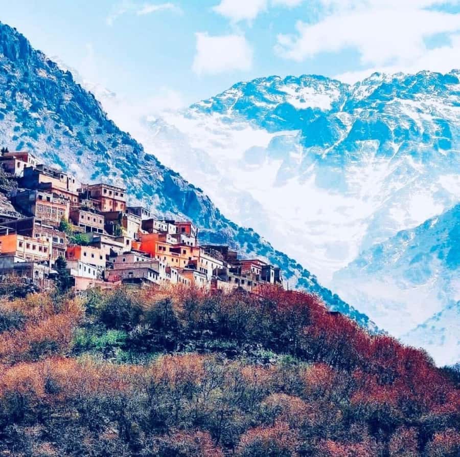Atlas Mountain & Three Valleys Waterfalls & Desert Day Trip - The 9:00 a.m. departure from Marrakech Cafe Agrana
