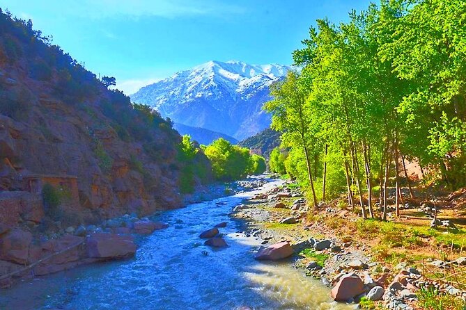 Atlas Mountains, 3 Valleys & Agafay Desert from Marrakech-DayTour - Waterfall hike near Ait Souka: the part that needs shoes