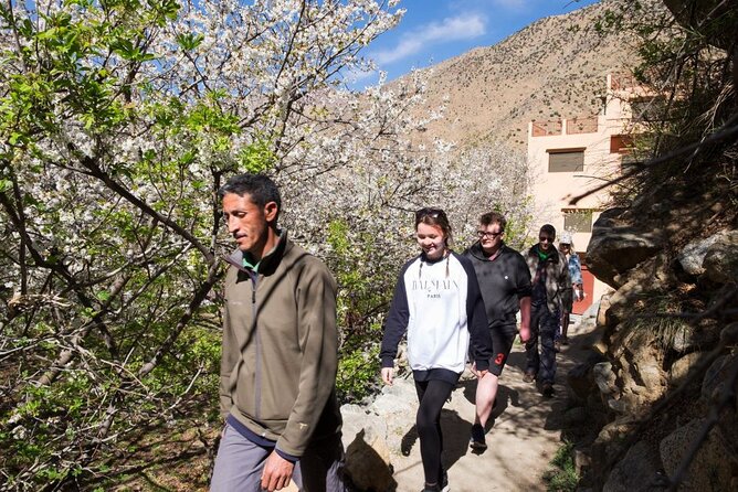 Atlas Mountains & 3 Valleys Waterfalls and Camel Ride Marrakech - Leaving Marrakech for the High Atlas without stress