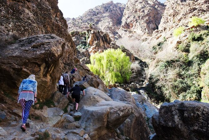 Atlas Mountains & 3 Valleys Waterfalls and Camel Ride Marrakech - Moroccan tea, cake, and panoramic terrace pauses