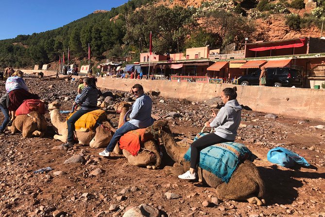 Atlas Mountains: 3 Valleys, Waterfalls & Camel Ride in Marrakech - Key Highlights You’ll Feel Right Away