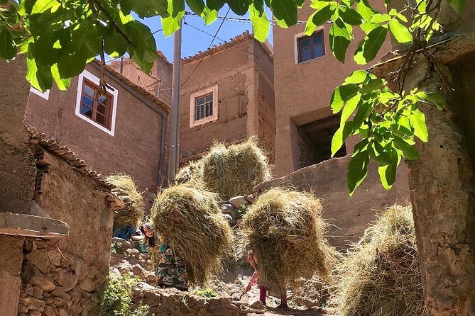 Atlas mountains 3valleys waterfall & camel ride - Price and Value: What $13.95 Buys You (and What Might Cost Extra)