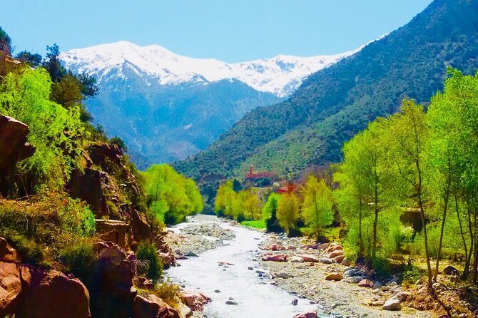 Atlas Mountains & 4 Valleys with Berber Villages day trip from Marrakech - Ourika Valley Waterfalls, Old Bridges, and Tea in a Berber Home