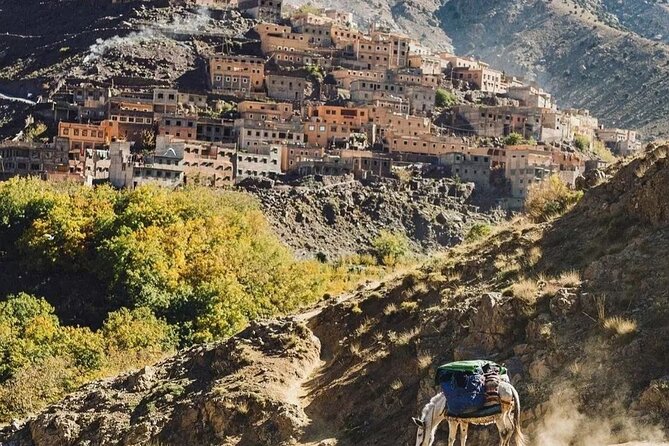 Atlas Mountains and 3 Valleys Day Trip from Marrakech - Timing and pacing: what an 8-hour day actually feels like