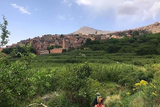 Atlas Mountains and 3 Valleys Day Trip from Marrakech - Price and logistics: where the real value comes from
