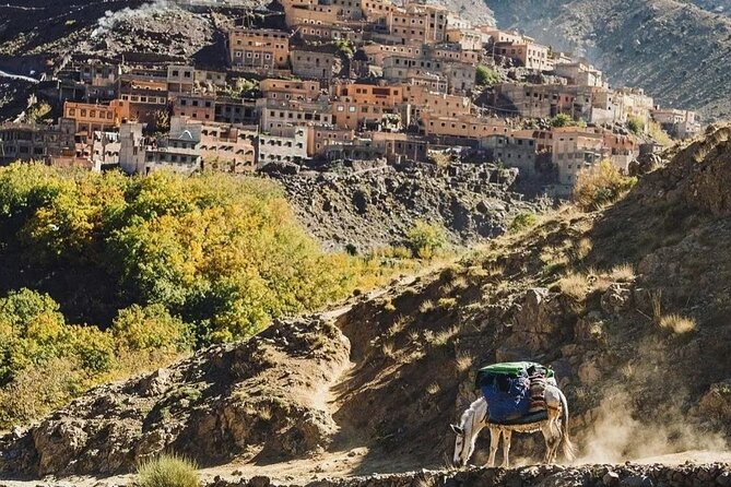 Atlas Mountains and 3 Valleys & Waterfalls - Camel Ride Marrakech - Atlas Mountains camel ride: what this 6-hour day really feels like