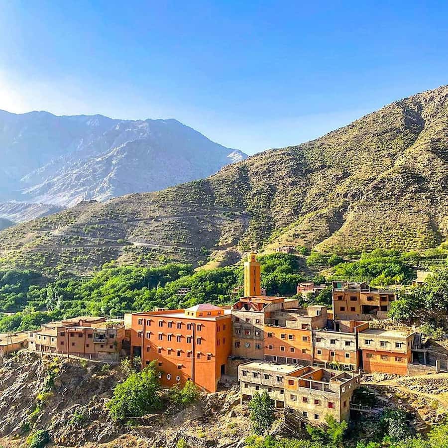 Atlas Mountains and 3 Valleys & Waterfalls & Desert Agafay - Waterfalls and village walking: good legs win, but you’re not punished for it