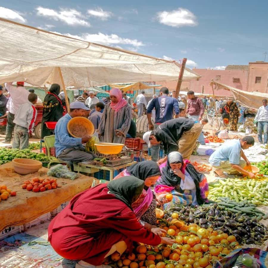 Atlas Mountains and 3 Valleys & Waterfalls & Desert Agafay - Tea with a Berber family: the part you’ll remember later