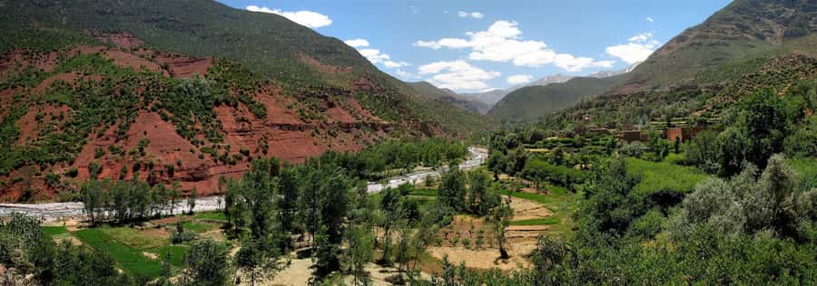 Atlas Mountains and 4 Valleys Day Trip - Tnine Ourika: market day energy and hillside agriculture