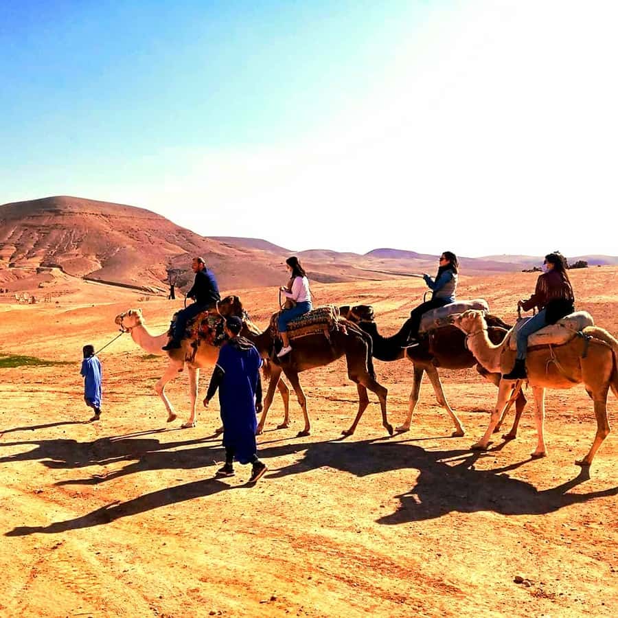 Atlas mountains and Berber villages & waterfall & camel ride - 7 Hours Outside Marrakech: What This Day Trip Really Delivers