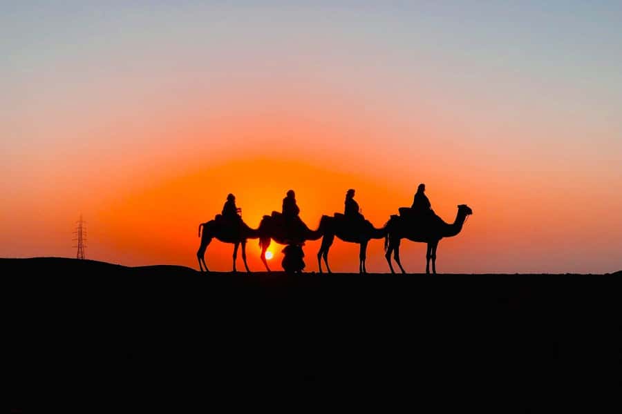 Atlas mountains and Berber villages & waterfall & camel ride - Hotel Pickup and the Guide: The Trip Moves Smoothly When Someone’s Driving the Day