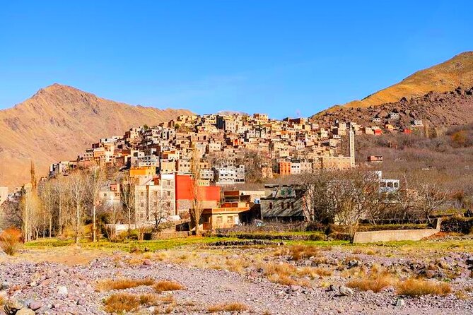 Atlas Mountains and Berber villages & Waterfalls with Camel ride - Argan oil at a women’s cooperative: the hands-on part