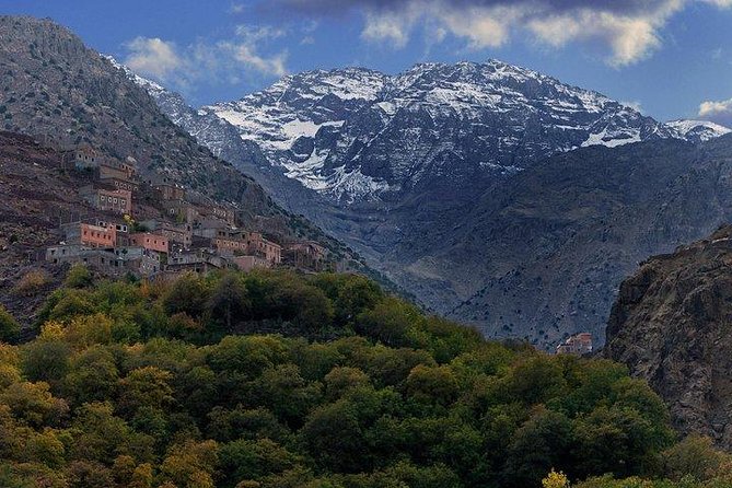 Atlas Mountains and Camel Ride Day Trip From Marrakech - Leaving Marrakech for the Atlas: start time, timing, and how the day flows