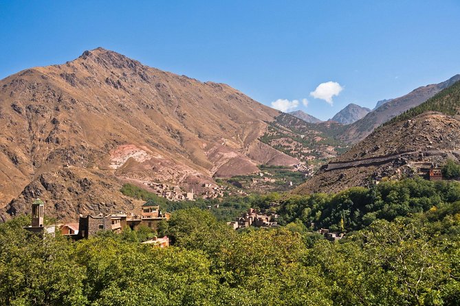 Atlas Mountains and Camel Ride Day Trip From Marrakech - Berber home lunch and Moroccan tea: the best kind of break