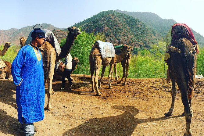 Atlas Mountains and Camel Ride Day Trip From Marrakech - Pace, comfort, and who this trip fits best