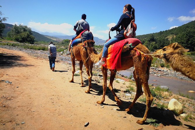 Atlas Mountains and Three Valleys & Waterfalls - Camel ride Day Trip Marrakech - Key things I’d circle before you book