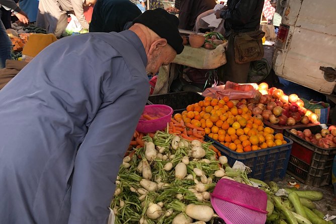 Atlas Mountains and Three Valleys & Waterfalls - Camel ride Day Trip Marrakech - From Marrakech to the Atlas: the ride that sets the mood