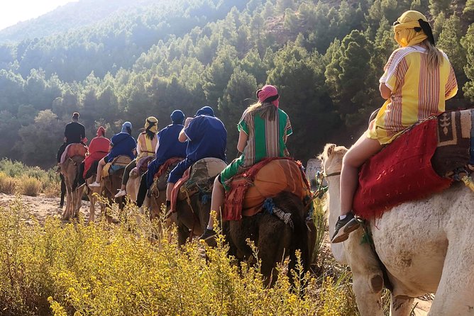Atlas Mountains and Three Valleys & Waterfalls - Camel ride Day Trip Marrakech - Timing, group size, and why this tour feels stress-free