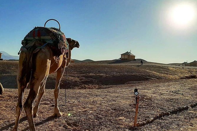 Atlas Mountains and Three Valleys & Waterfalls: Guided Day Trip From Marrakech - Three Valleys and waterfalls: what you’re actually coming for