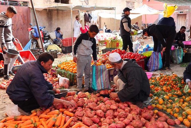 Atlas Mountains and Three Valleys & Waterfalls with Camel ride Day Trip - Key things that make this trip work