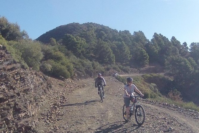 Atlas Mountains Beginners Mountain Biking Tour from Marrakech - Who should book this Atlas beginner biking day