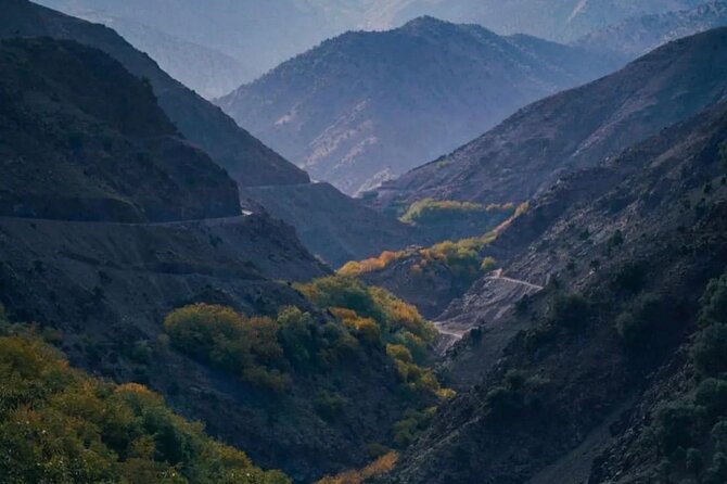 Atlas Mountains & Berber Villages & Waterfalls & Camel Ride Trip - Lunch in a Berber home: the meal is part of the story
