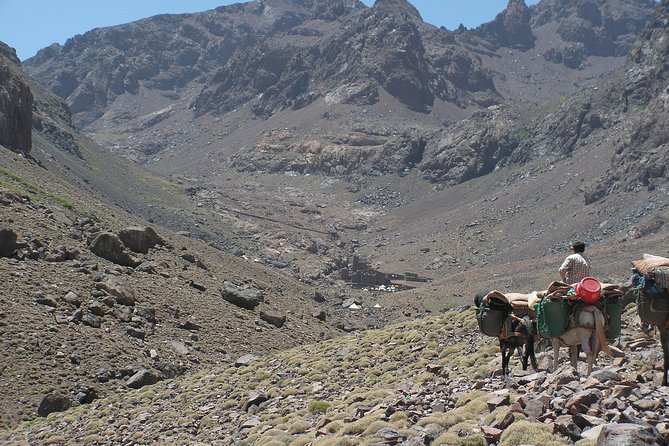 Atlas Mountains Day Tour with Camel Ride - From Marrakech to Imlil: Your Morning Setup in Comfort