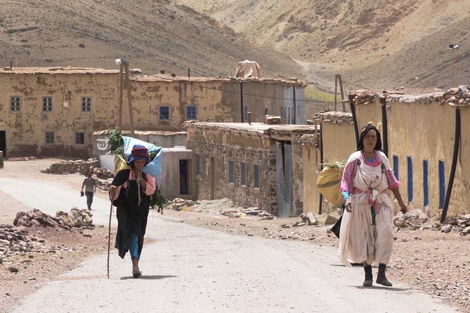 Atlas Mountains Day Tour with Camel Ride - Entering the Atlas Valley: The Walk Toward Aremd and Toubkal Views
