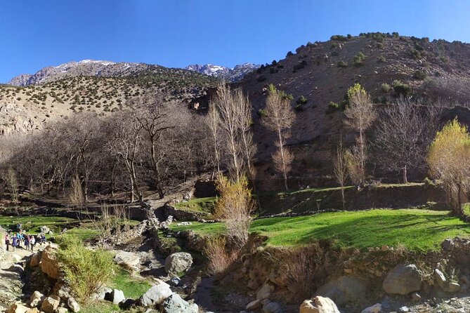 Atlas Mountains Day Trek - Price and value: what $61.95 buys you