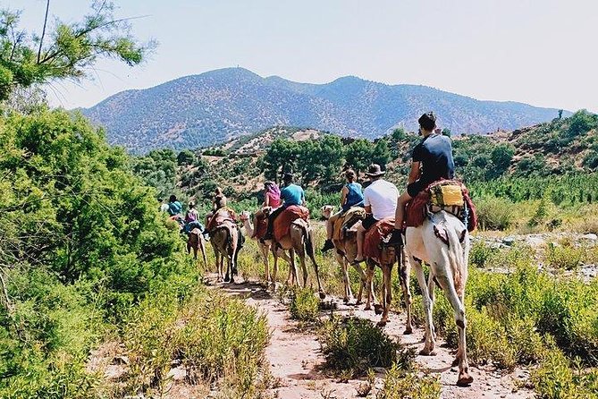 Atlas Mountains Day Trip - Before you go: small prep that improves the day