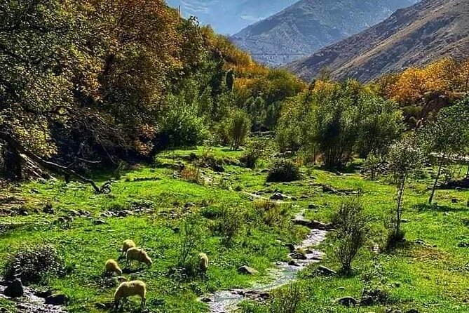 Atlas Mountains Day Trip From Marrakech - Marrakech to Imlil Valley: the drive that sets the tone