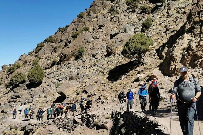 Atlas Mountains Day Trip From Marrakech - Price and what you actually get for $91.90
