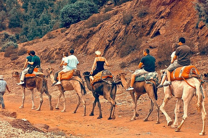 Atlas Mountains Day Trip from Marrakech and Three Valleys Guided Tour - Key highlights worth planning for