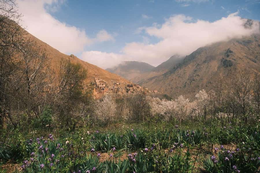 Atlas Mountains Day Trip: Market, Cooking & Village Walk - Imlil Market: shop for your dinner before you cook