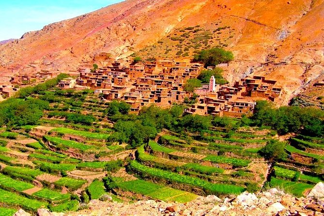 Atlas Mountains Day Trip with Camel Ride from Marrakech - The Argan Oil Co-operative in Tahnouat (plus the Asni market on Saturdays)