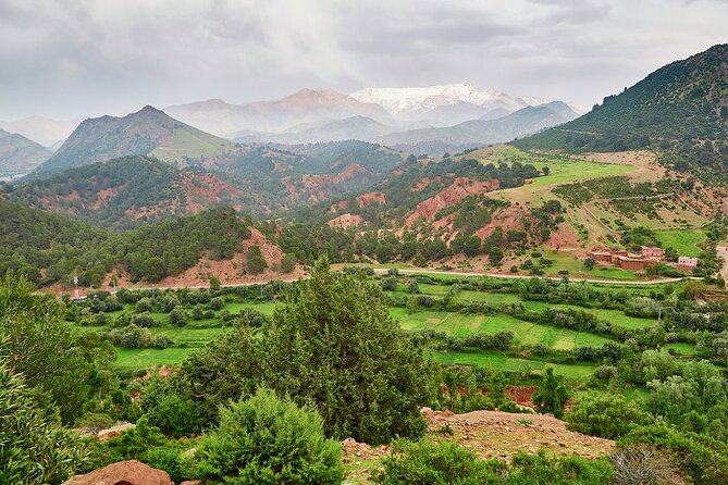 Atlas Mountains Day Trip with Camel Ride & Visiting Berber villages - Price and Value: What $232.38 Buys You in Marrakech